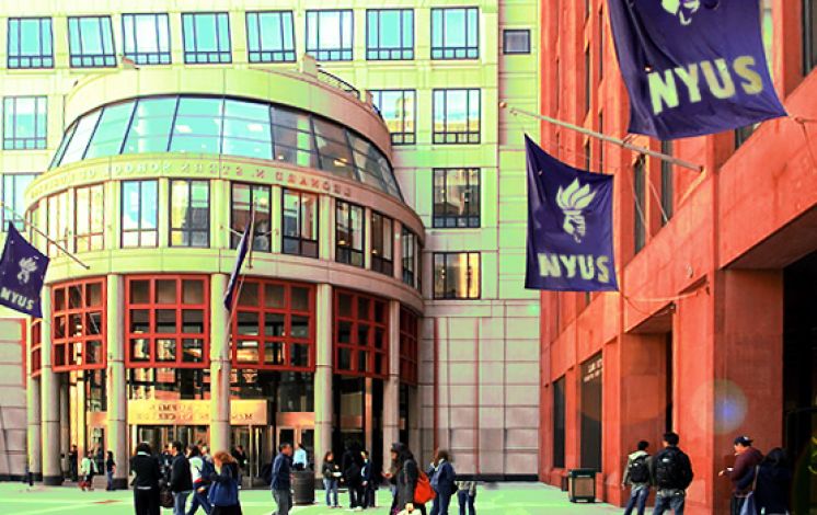 NYUS Graduate  Success Stories